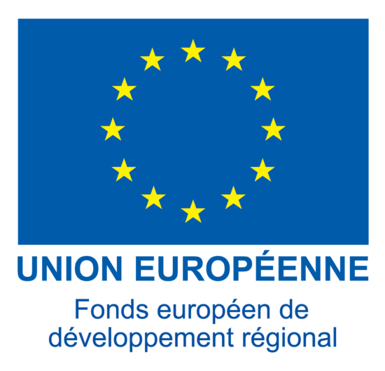 GRAND Logo UE FEDER couleur